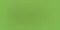 Google Disable 2G