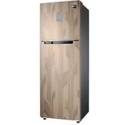 Samsung Rt30 Samsung RT30C3732YB 256 Ltr Double Door - Price in India ...