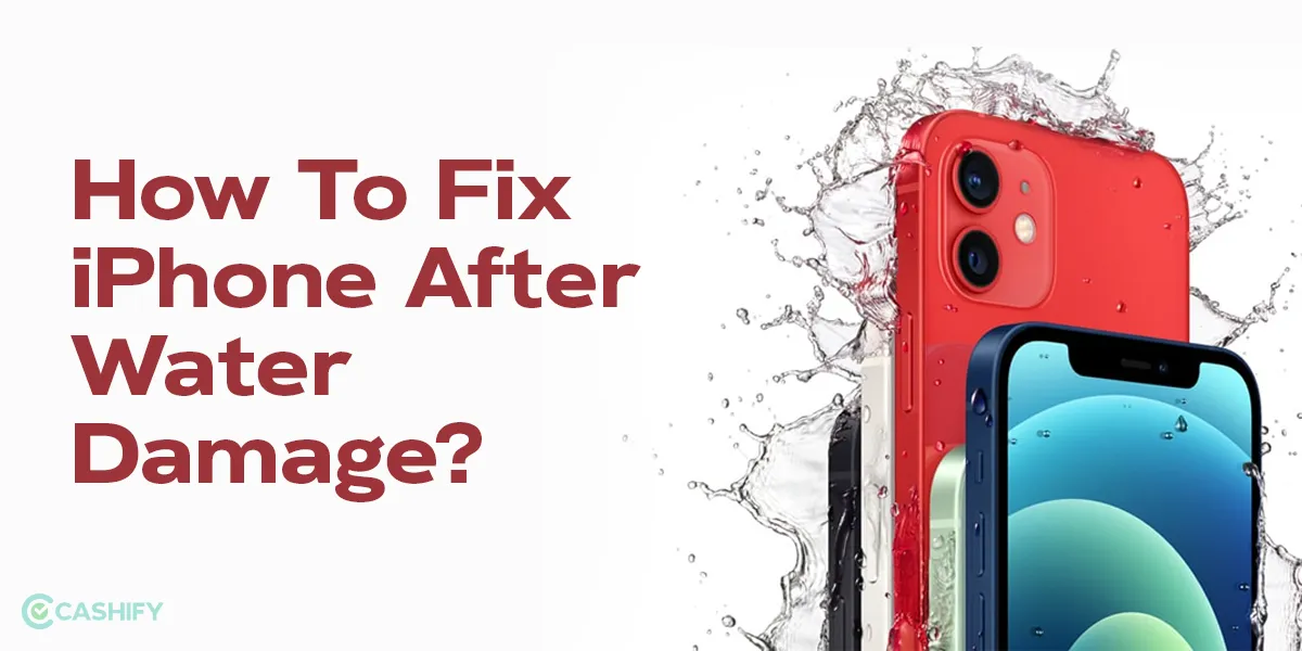 How To Fix Water Damaged iPhone? | Cashify Blog
